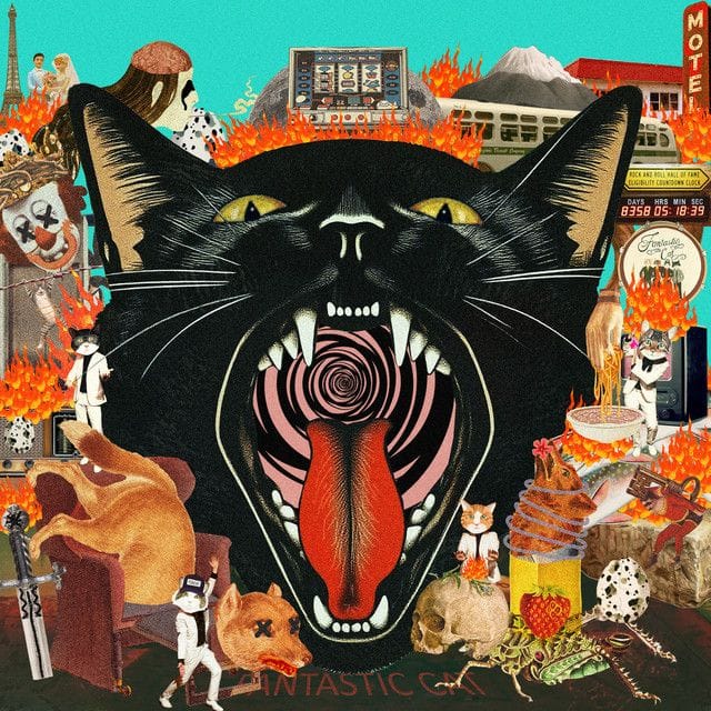 cat out of hell - fantastic cat