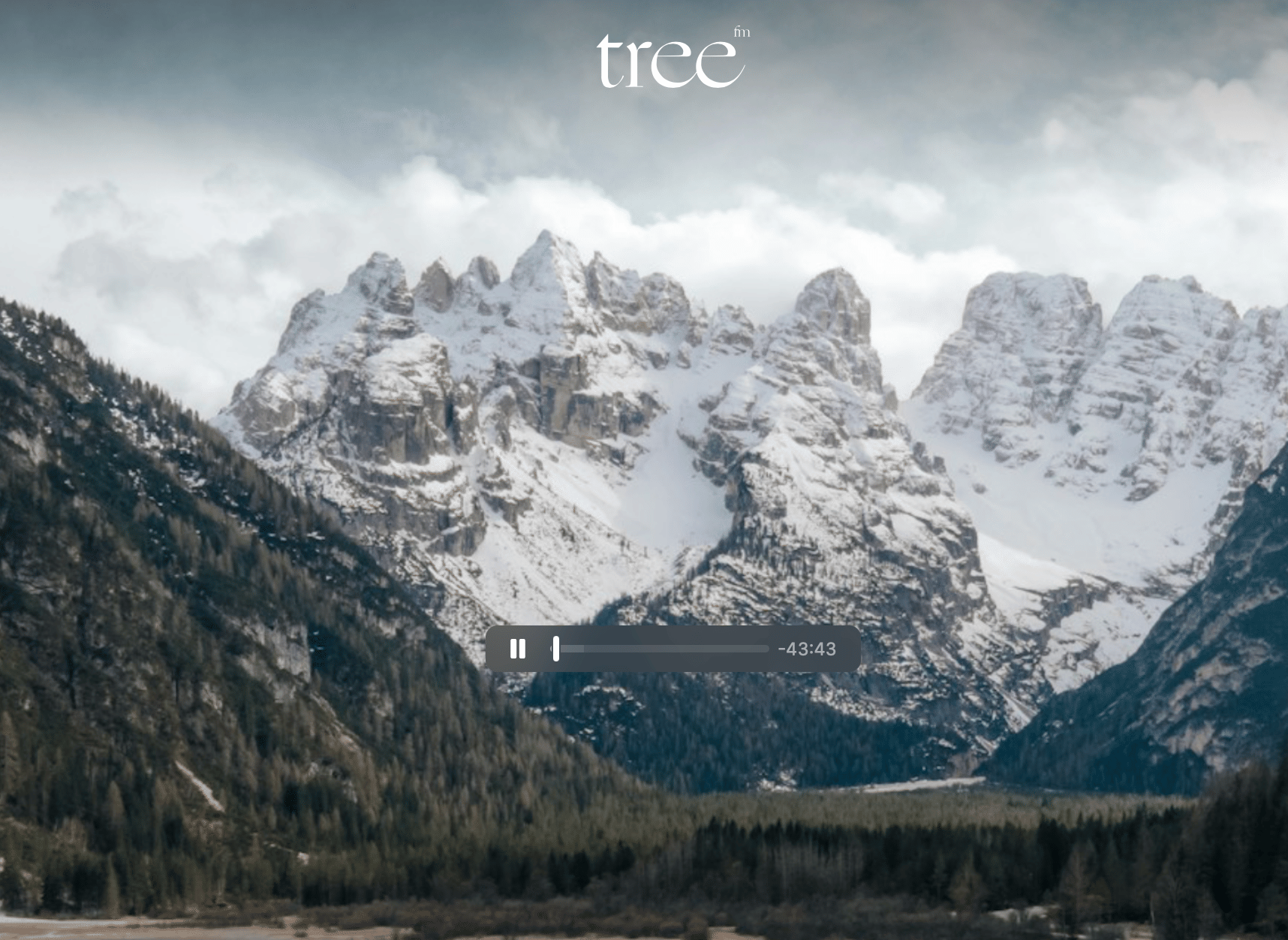 tree.fm – Tune Into Forests