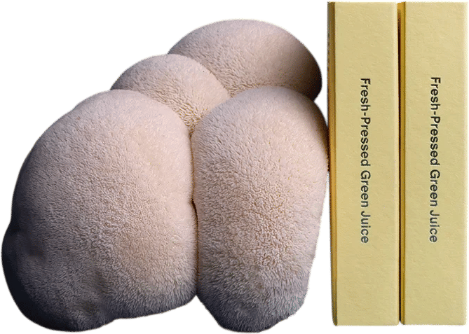 Rose Los Angeles High Energy