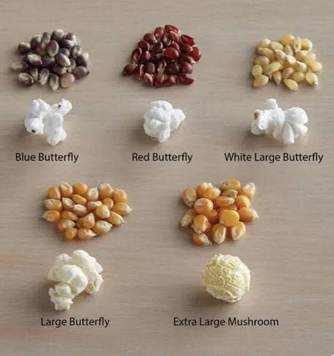 Butterfly Or Mushroom? Know Your Kernel