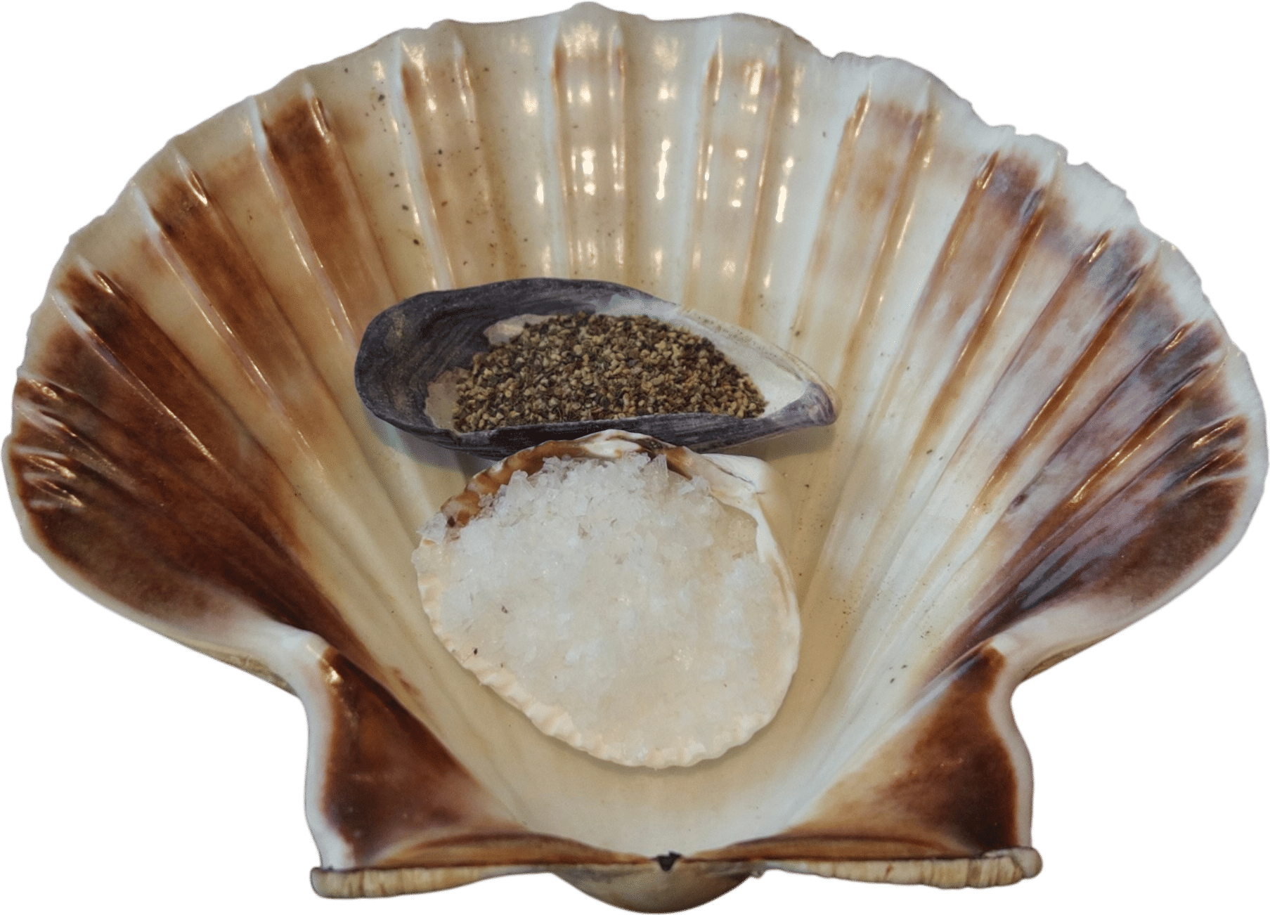 Salt & Pepper Set