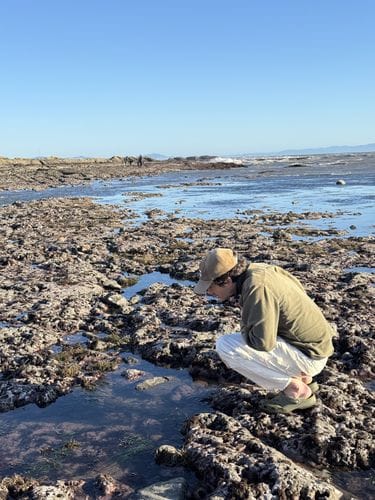 Tidepooling