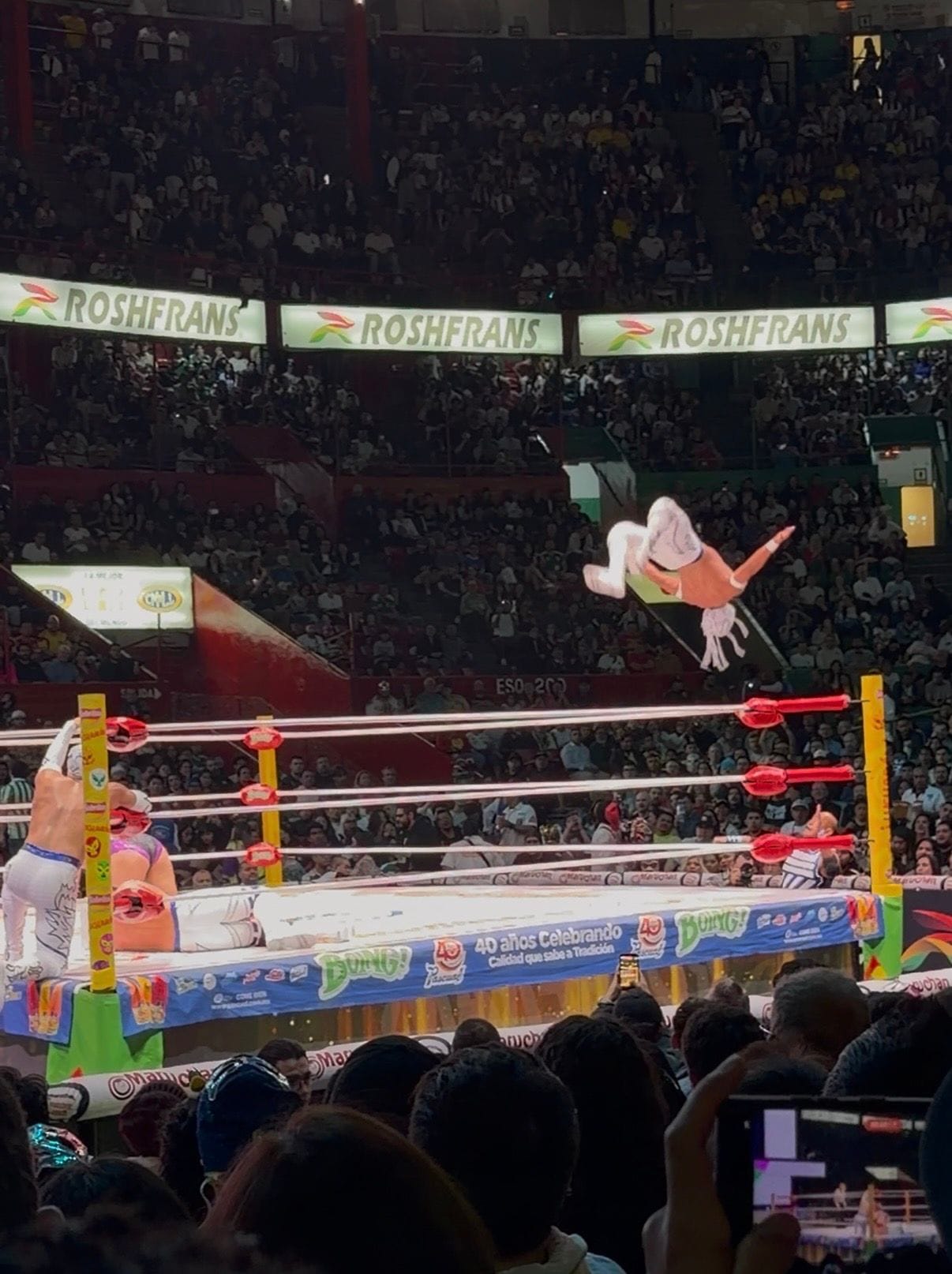 Lucha Libre