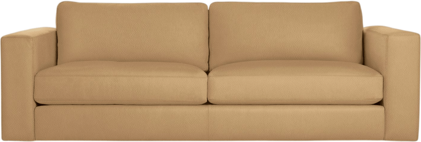 Reid Sofa (Design Within Reach)