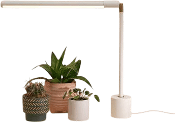 Plant light I use for my desk