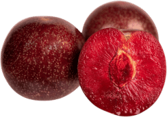plumcot season!!!