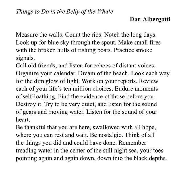 Things to Do In the Belly of the Whale