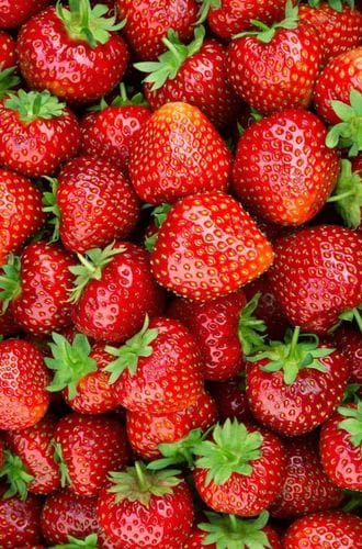 Strawberry Season