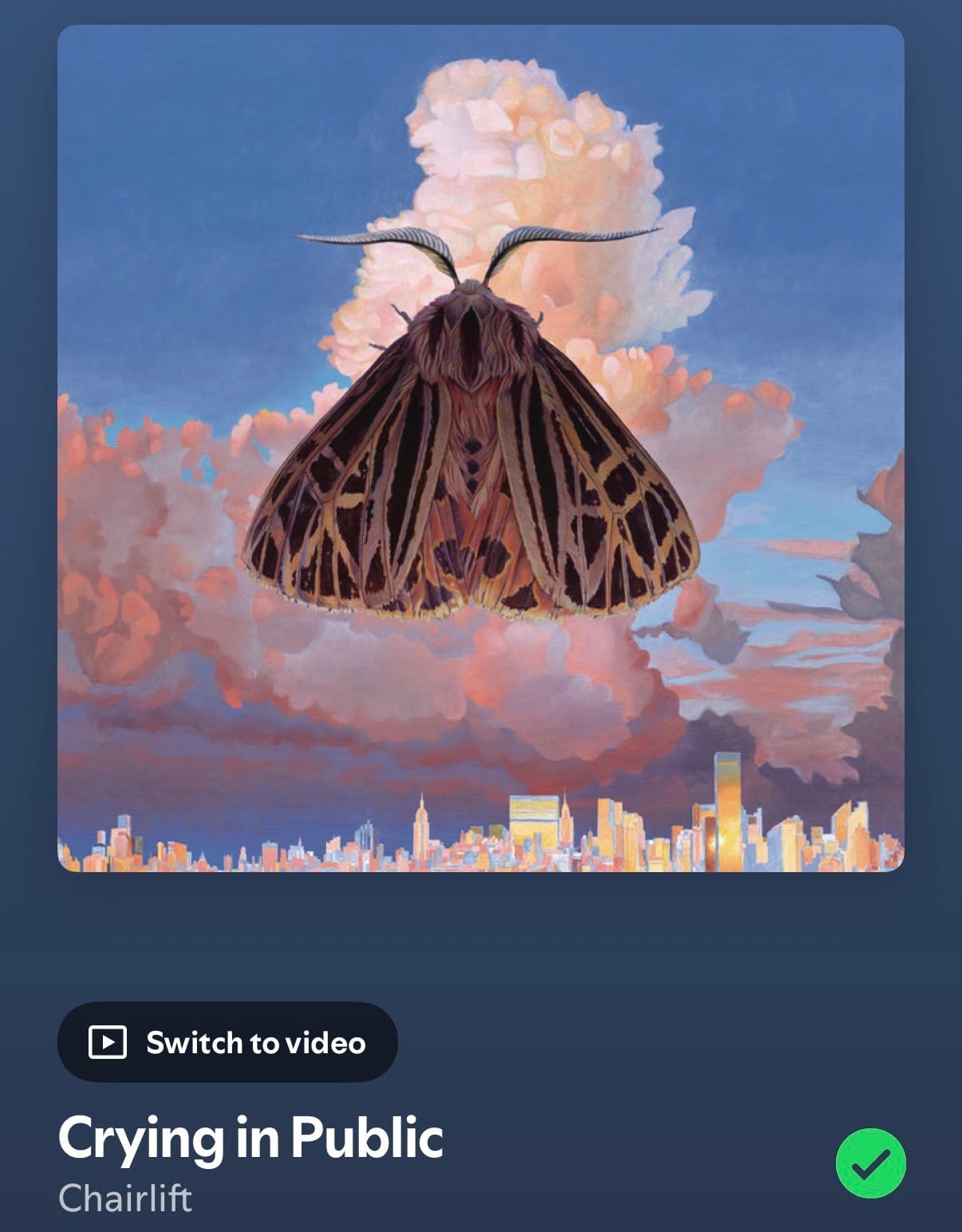 crying in public - chairlift