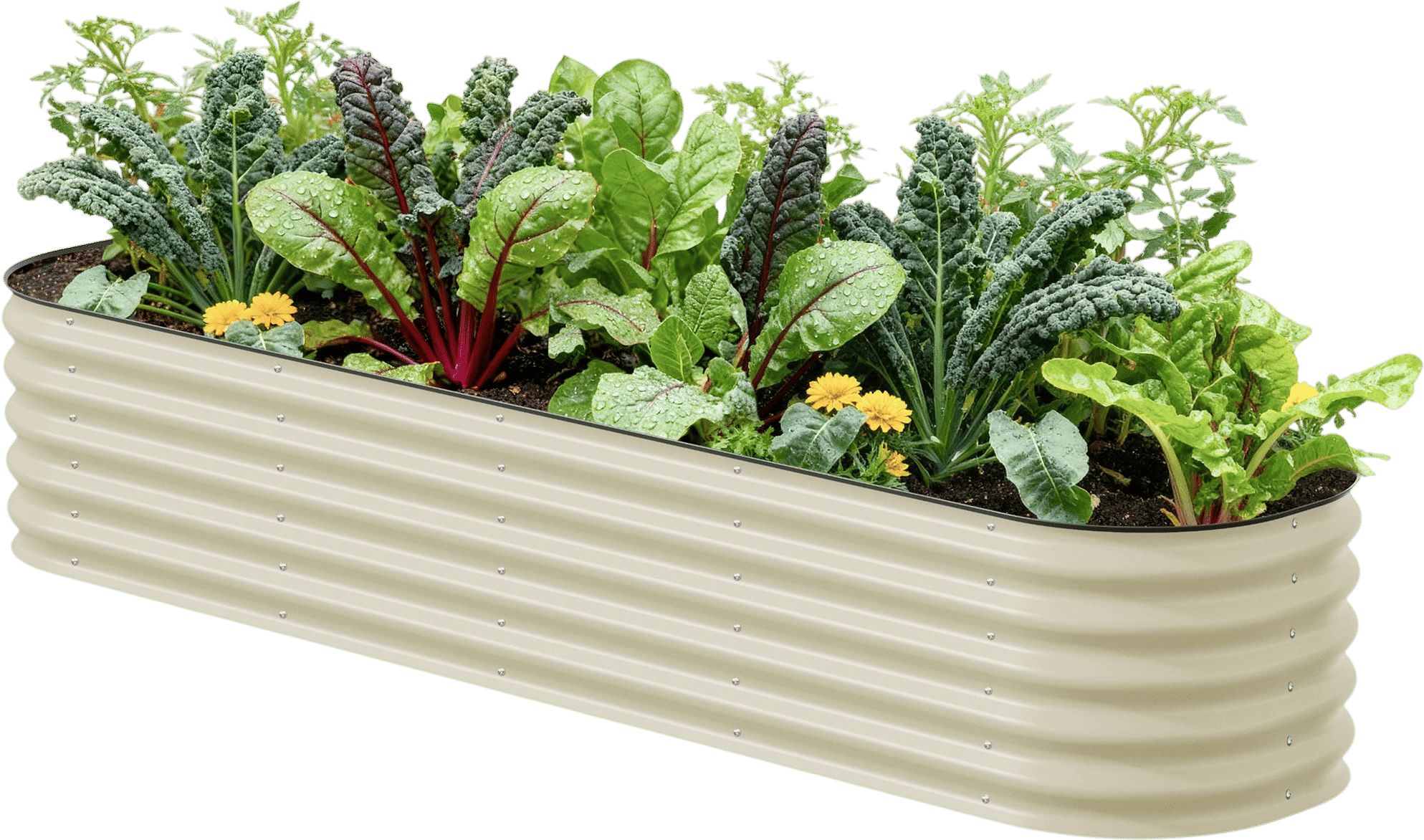 Vego garden beds