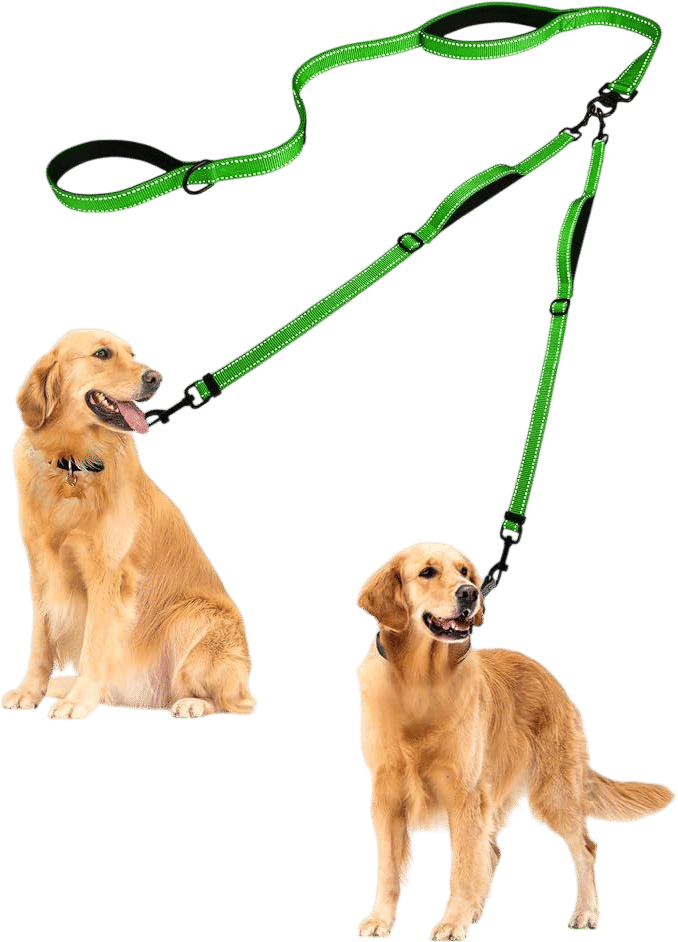 PetBonus Double Dog Leash