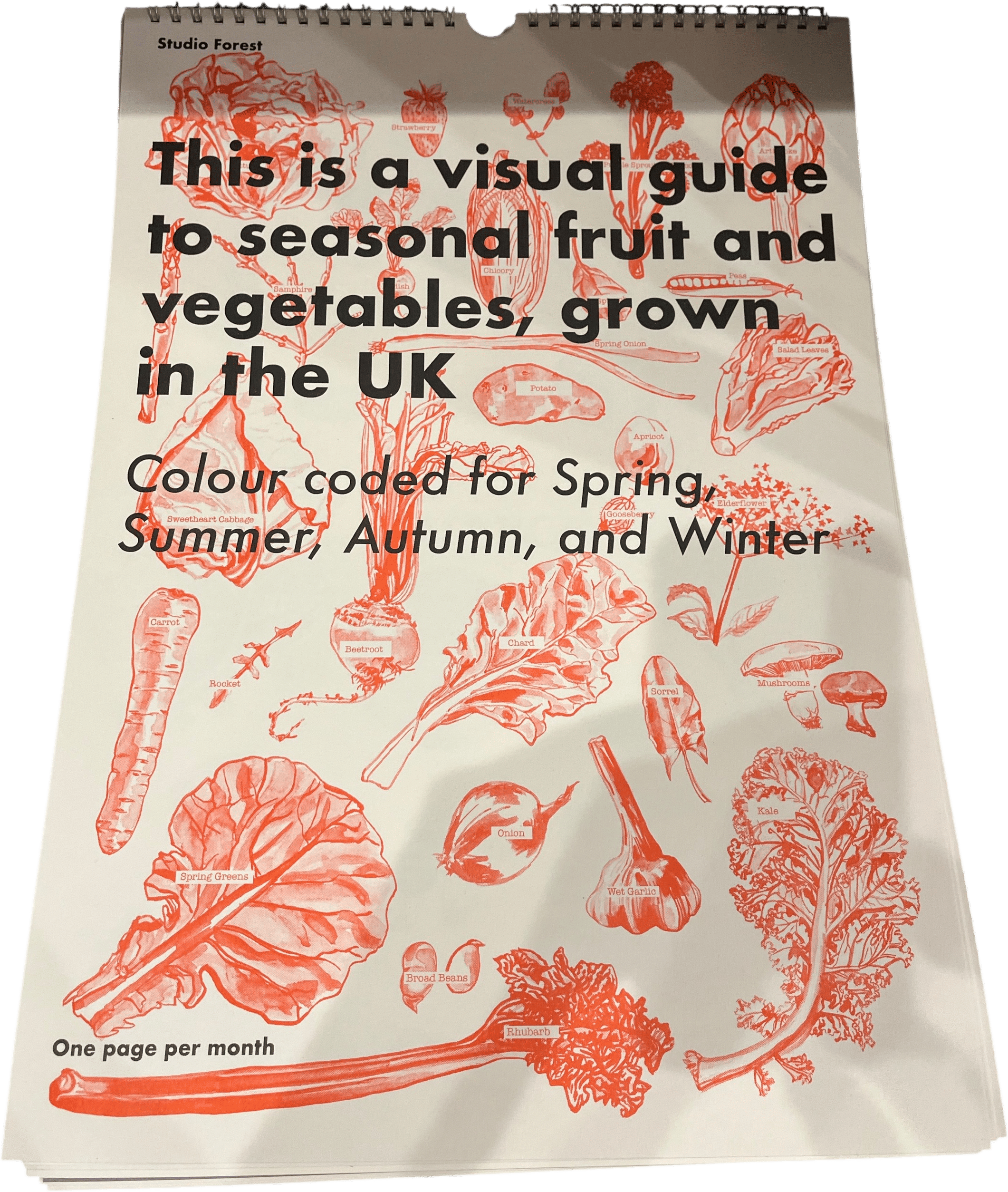 Seasonal Illustration Calendar