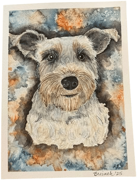 Scraggly dogs