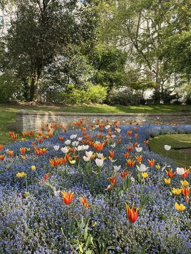 Victoria Embankment Gardens