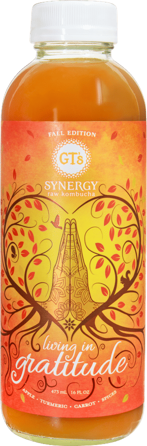 GT's Synergy “Living in Gratitude” Raw Kombucha