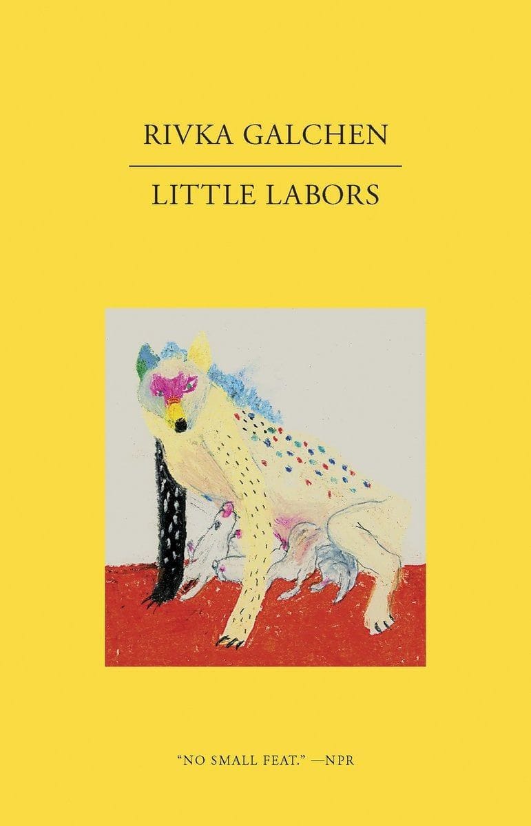 Little Labors (Rivka Galchen)
