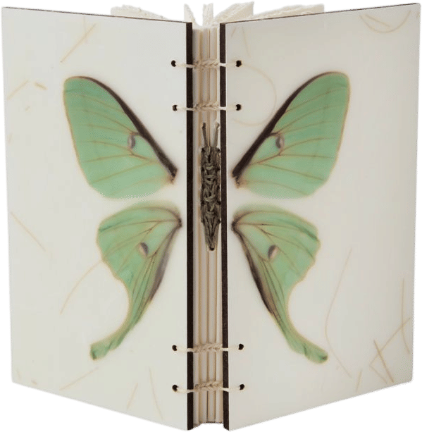 Erin Keane Butterfly Book | Luna Moth