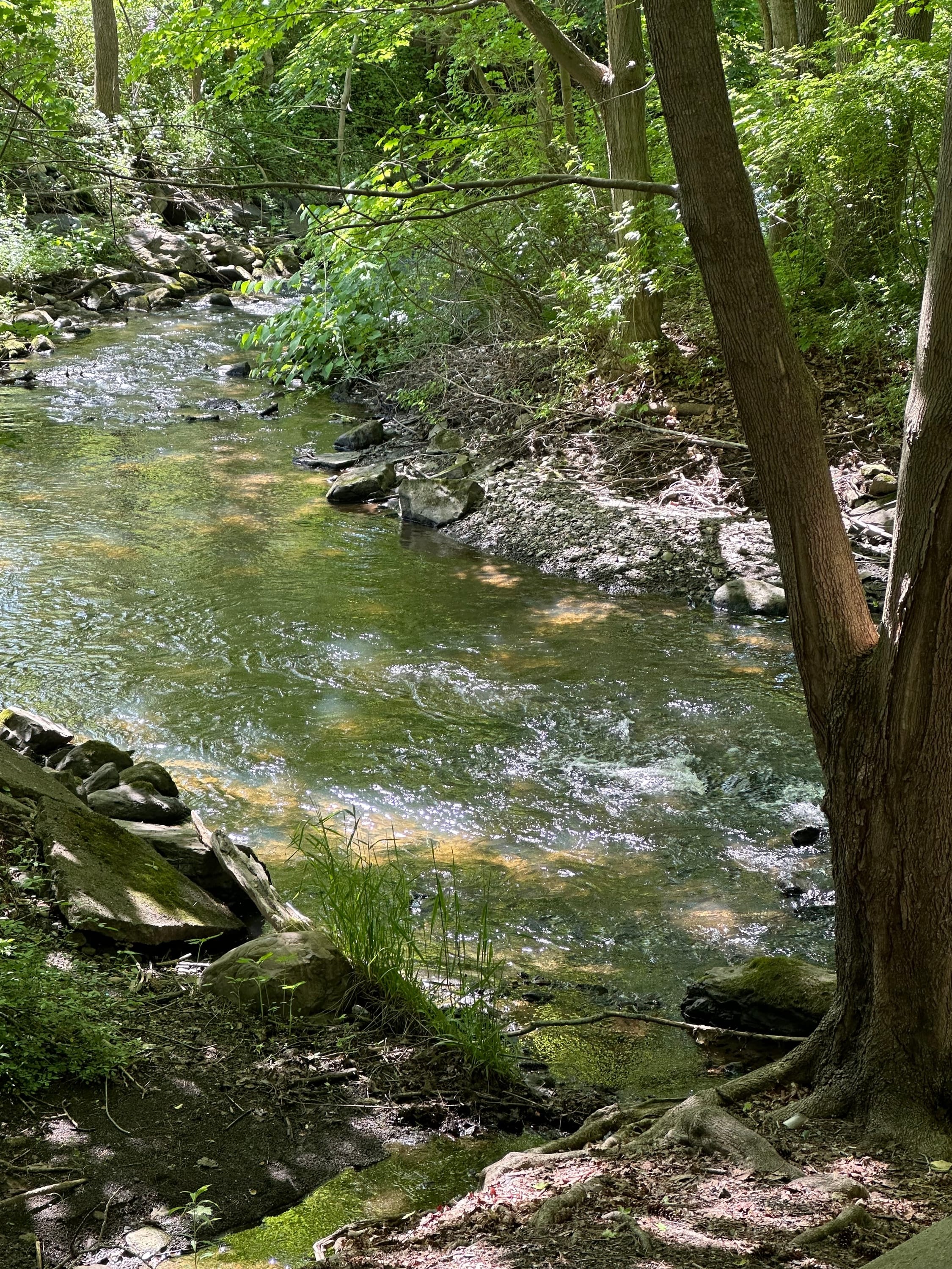 easy walk after the diner