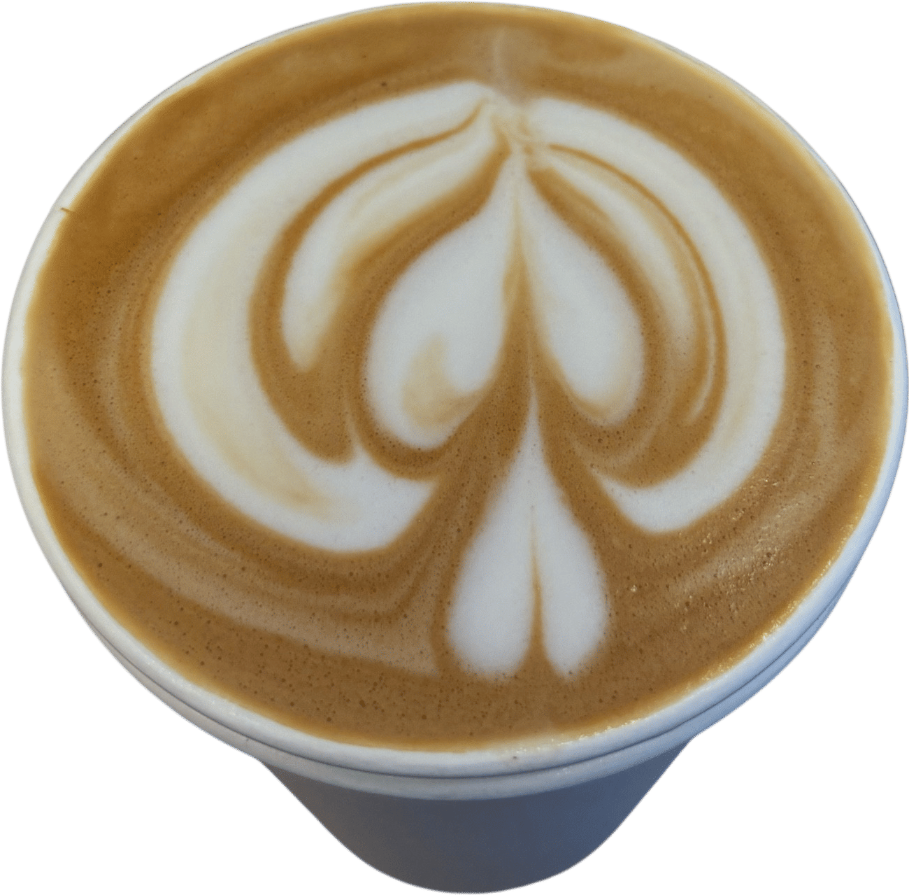 almond milk cappuccino from Ansa Microroastery