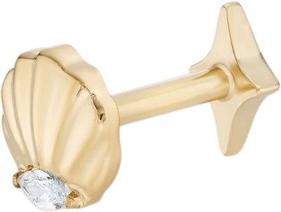 Seashell Titane