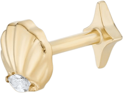 Seashell Titane