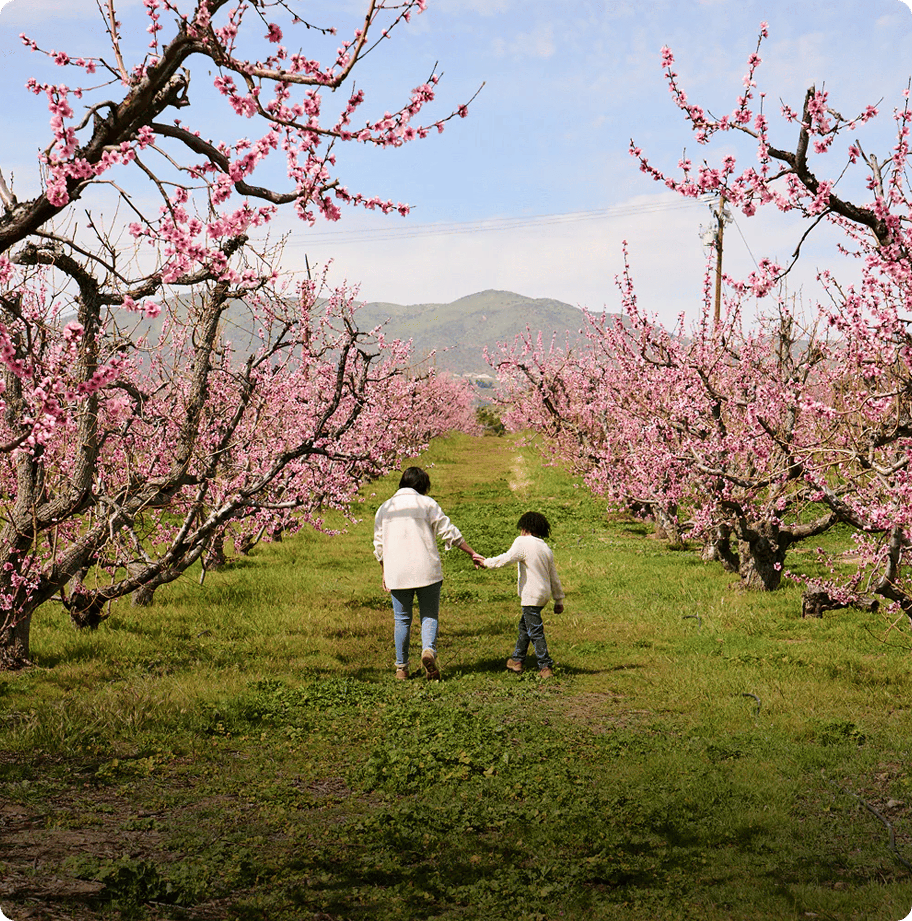 Bloom Ranch of Acton