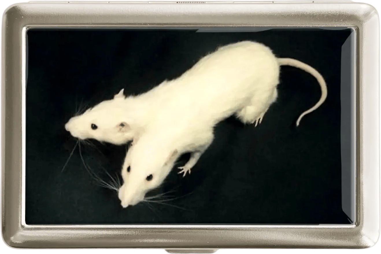 Rat Cigarette Case