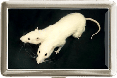 Rat Cigarette Case