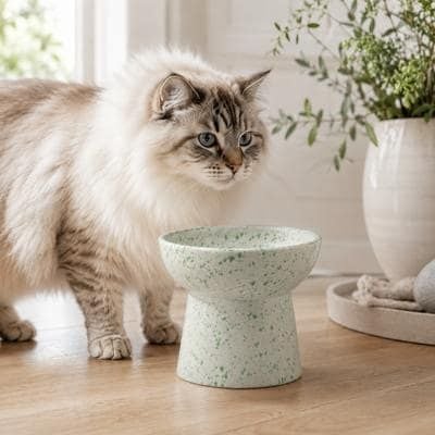 Elevated, Whisker-friendly Pet Bowls 🐱