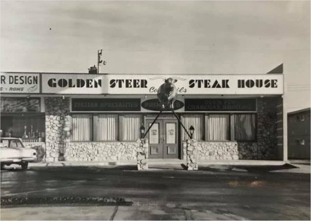 golden steer