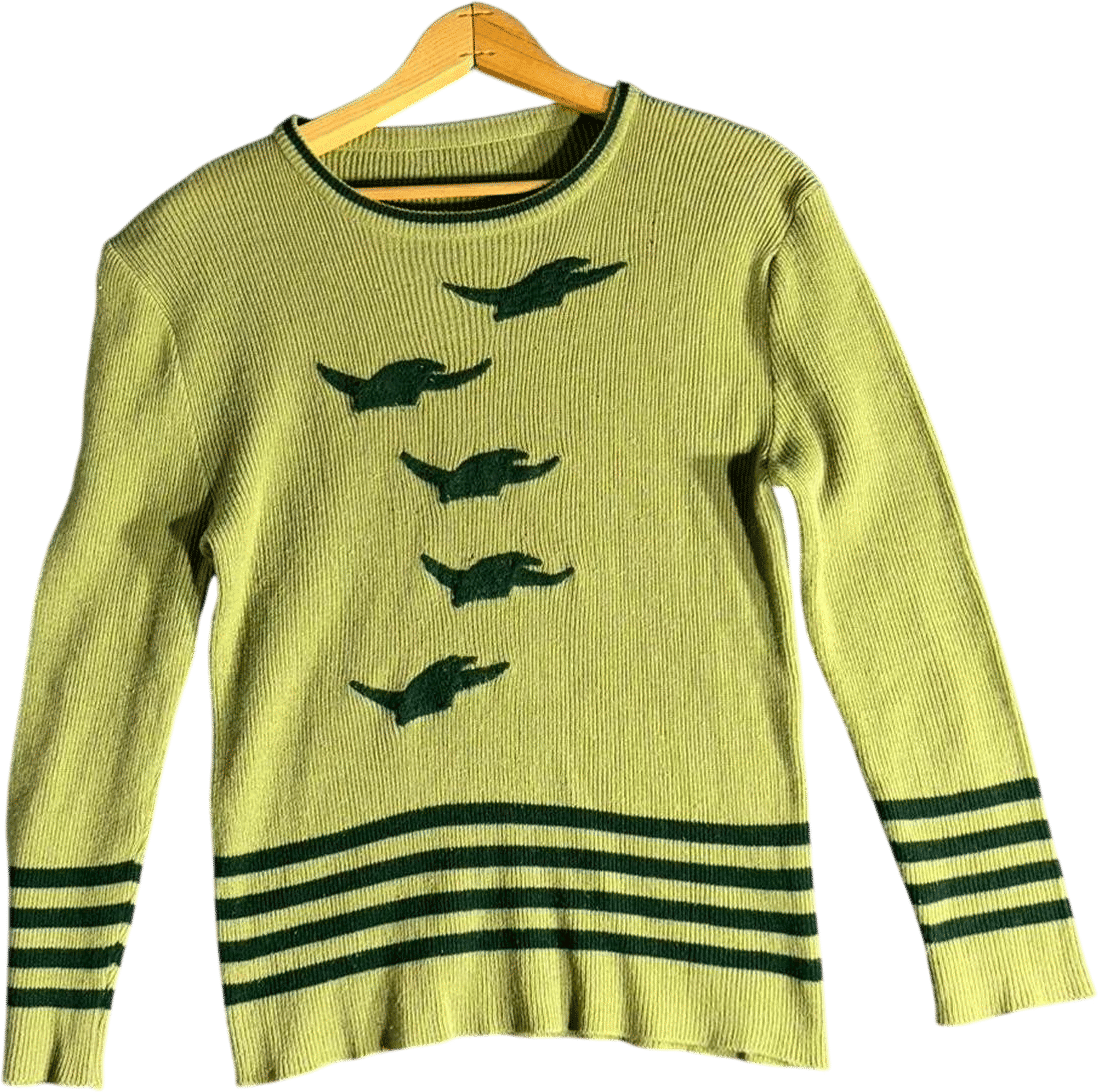 American Vintage Women's Green Crocodile Ribbed Jumper