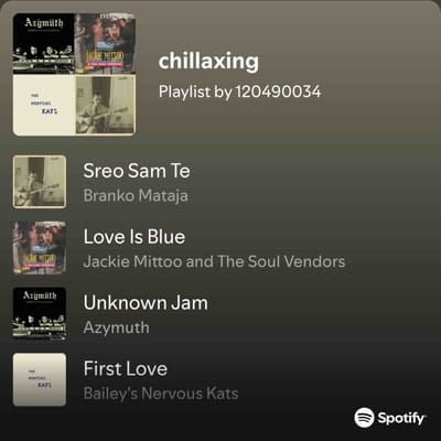 No vocals just vibes (Spotify Playlist)