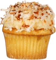 Toasted Coconut Cupcake at Saint Cupcake