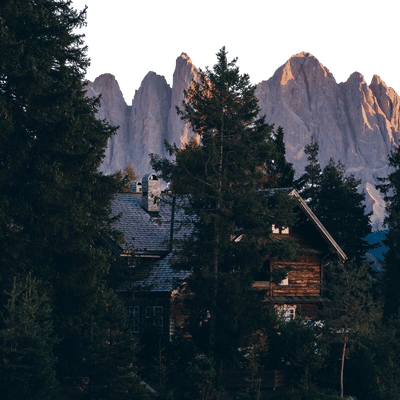 Forestis Dolomites
