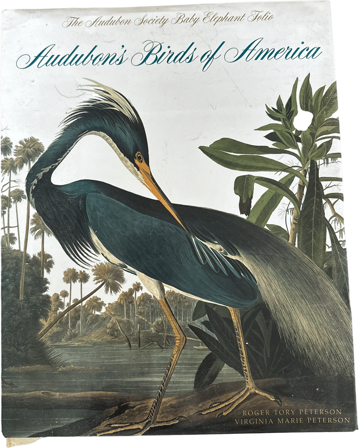 Audobon’s Birds of America