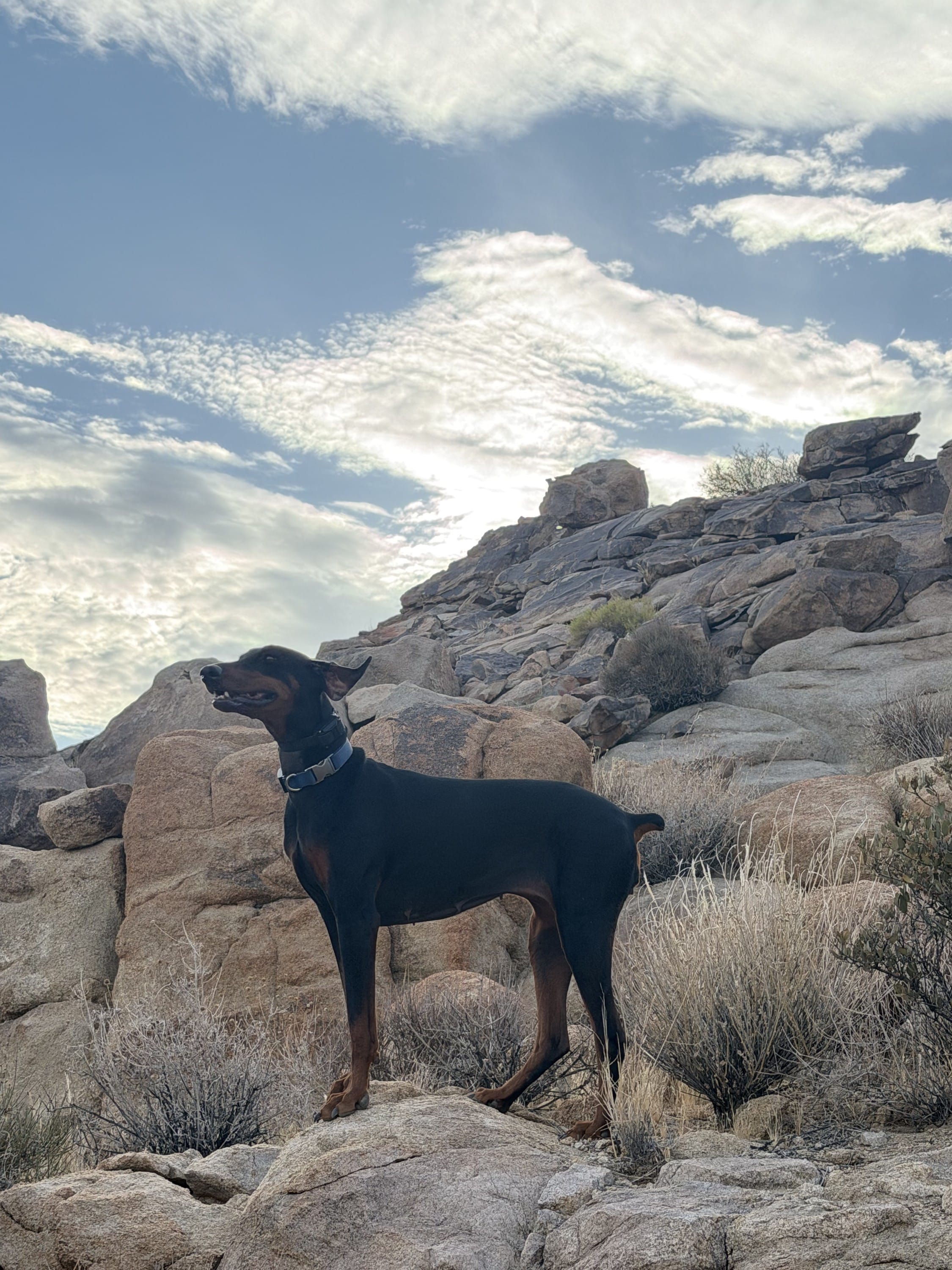 Desert View Conservation Area