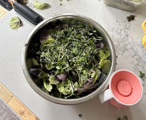 Eat Salad Directly Out Of A Metal Bowl