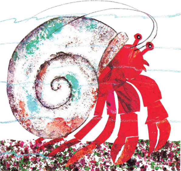 Houses for Hermit Crabs