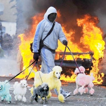 bywayofnoway (momtaza mehri)