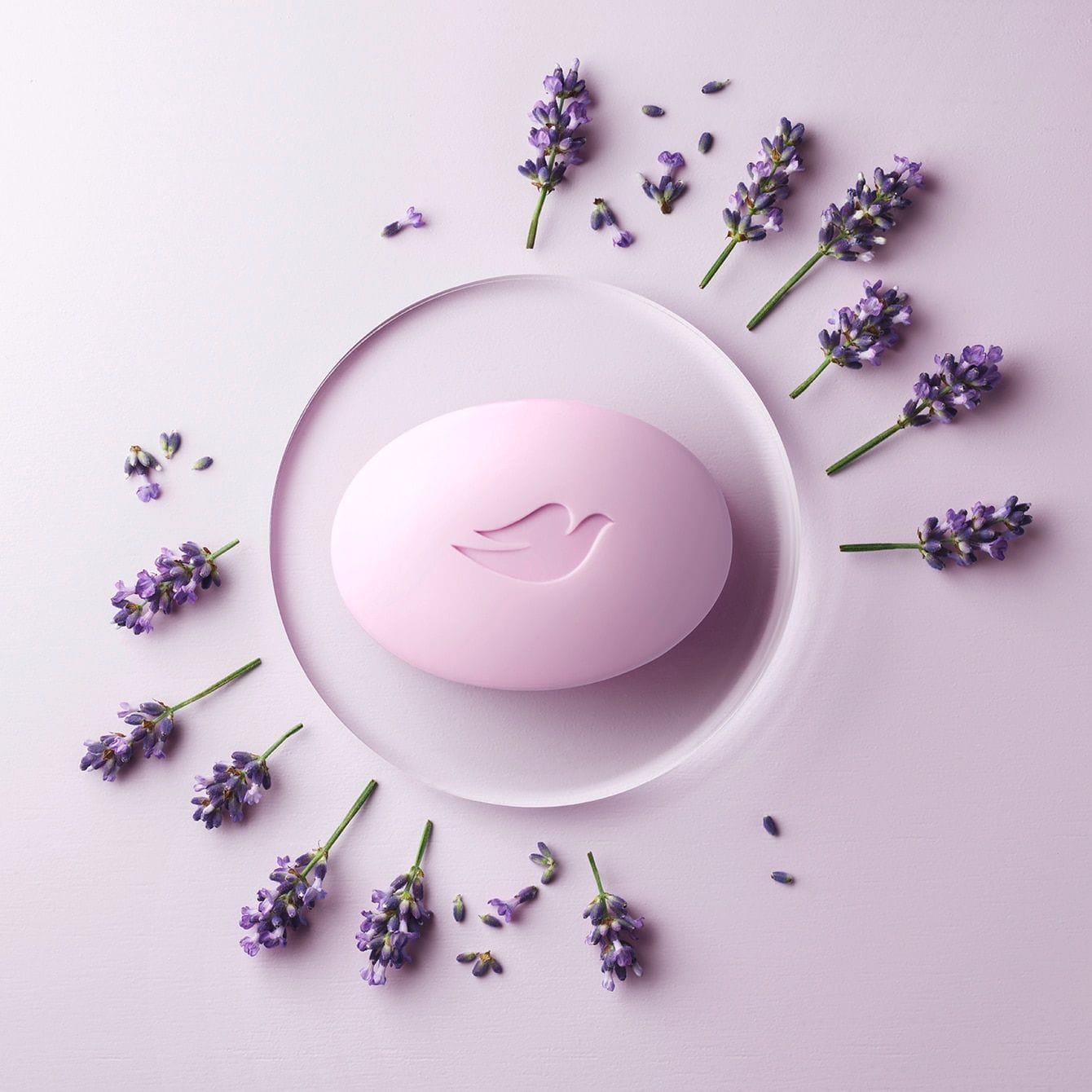 Dove Beauty Bar