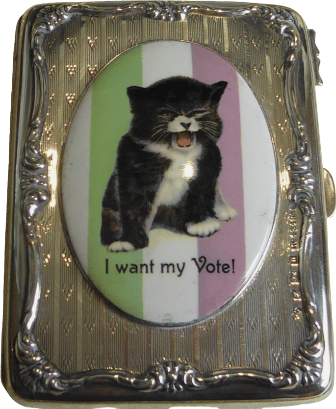 1907 Suffragette Silver Cat Card Case