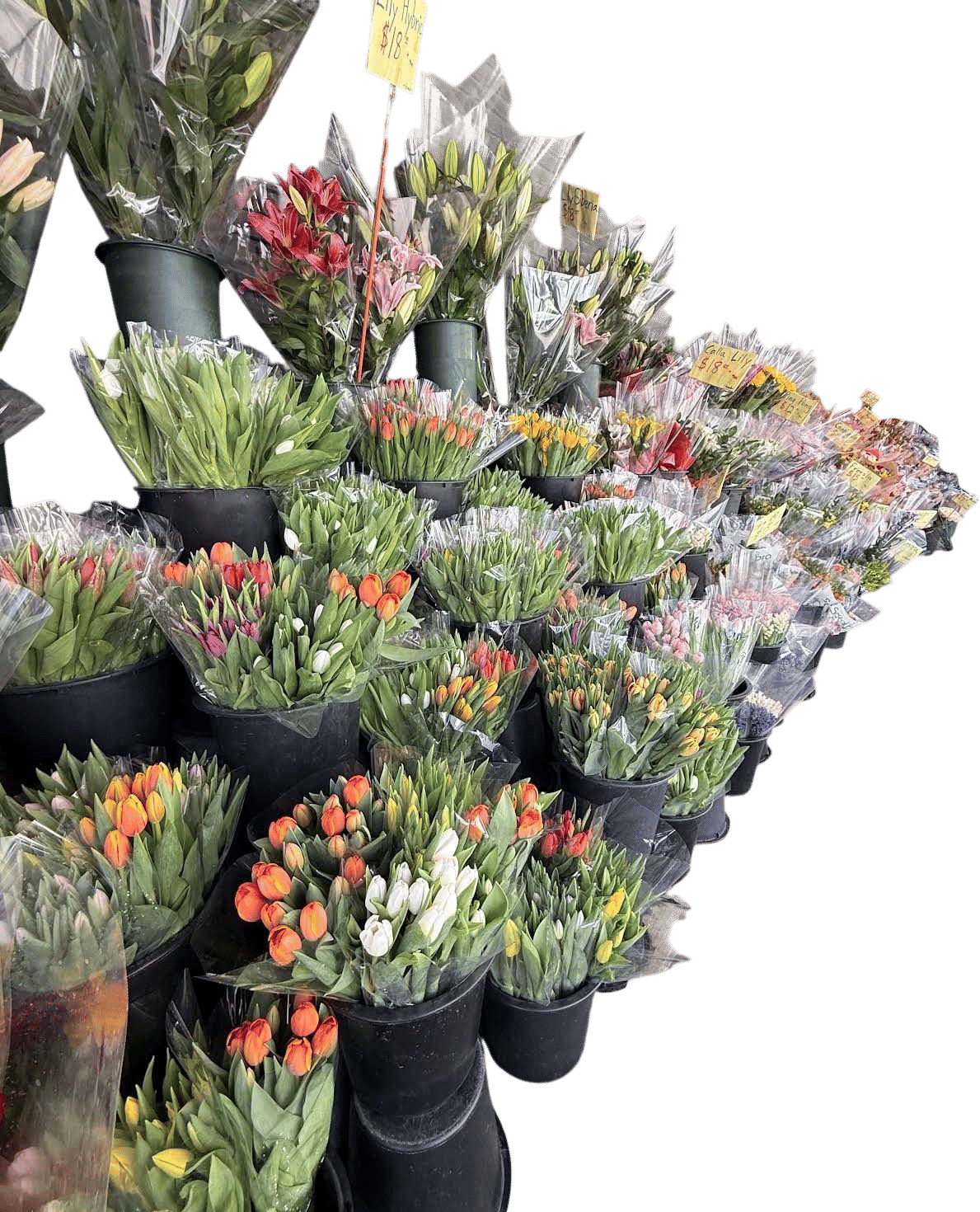 The Flowers at Key Foods