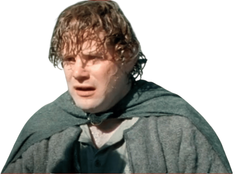 Breaking of the Fellowship (LOTR: Fellowship of the Ring)