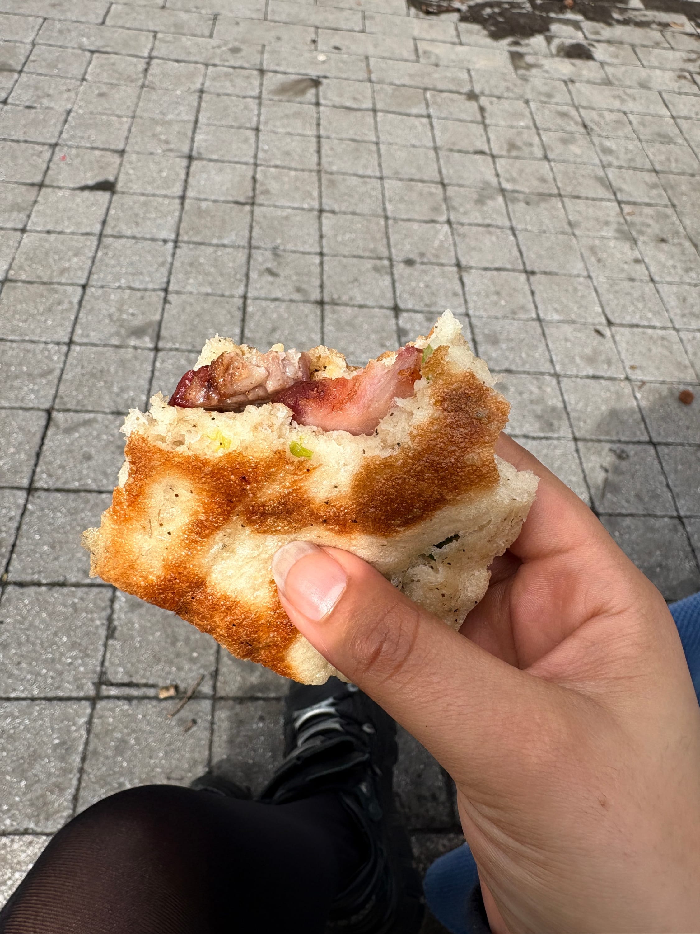 Scallion bread stuffed with roast duck, preferably eaten outside in a park