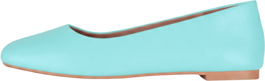 Ballet Flats in Ice