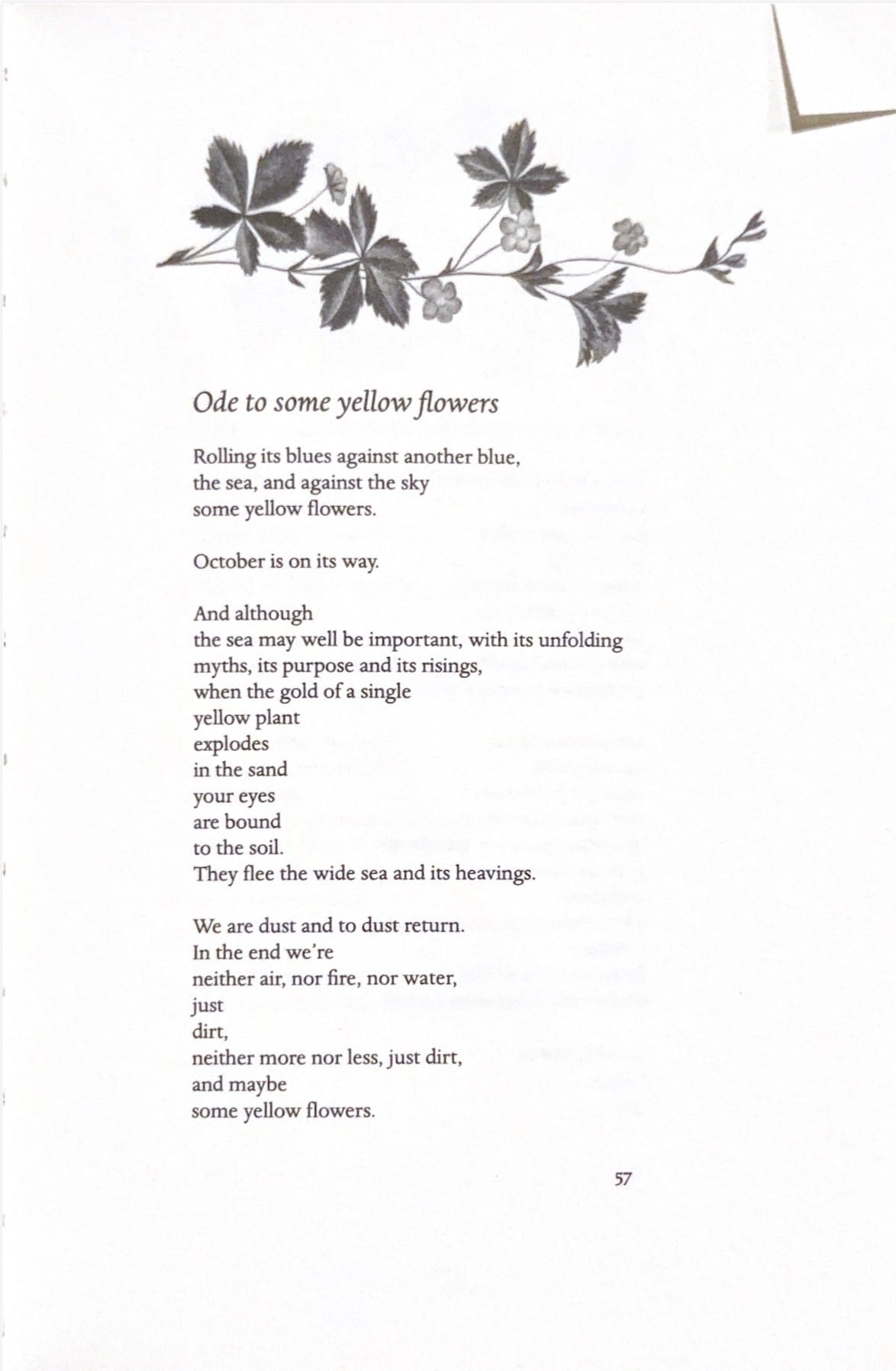 Fav poem from Ode to Common things by Pablo Neruda