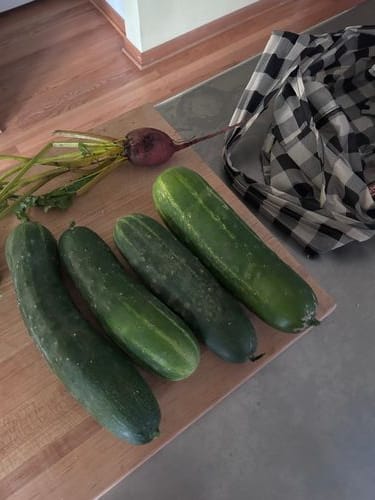 cucumbers