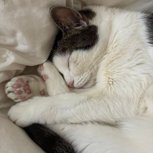 Hugging your own feet