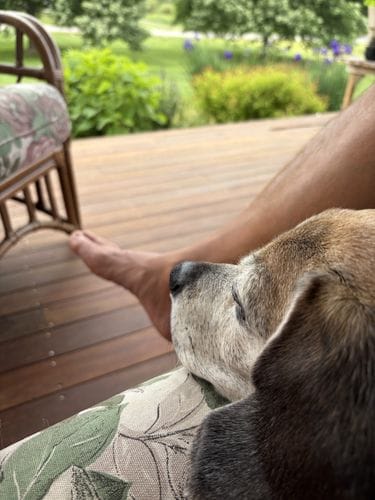 lazy afternoons
