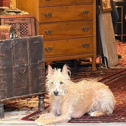 Fairhaven Rug Gallery